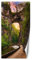 Feeby Türtapete Fototapete Fluss Schlucht Felsen 100x200 cm Türposter Türpanel Vlies Tapete Wohnzimmer Schlafzimmer Kinderzimmer Büro Natur Weg Grün
