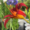 30 pcs Taglilien samen- bodendecker winterhart mehrjährig taglilien pflanzen winterharte stauden balkonblumen samen anzucht pflanztöpfe stauden winterhart mehrjährig taglilien winterhart