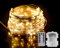 GHJ LED Battery Operated Remote Control Rainproof Silver Wire String Fairy Lights Indoor/Outdoor for Christmas Tree Xmas Garden Party (200LEDs, Warm White)