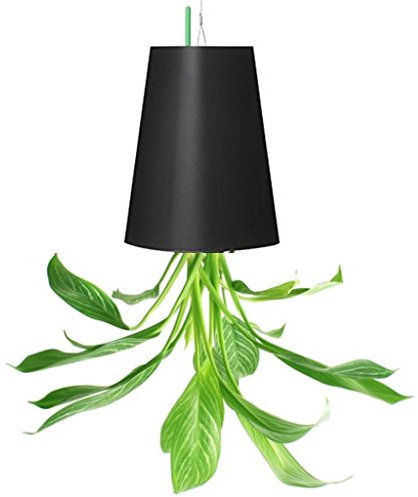 Newcom Upside-Down Plant Flower Pot Hanging Planter (Small, Black)
