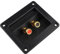 Jopto Stereo Binding Post Copper Terminal Cable Connector Original Screw Type Speaker Junction Board Subwoofer Plugs Replacement with 2 Mounting Holes for DIY HiFi Speaker