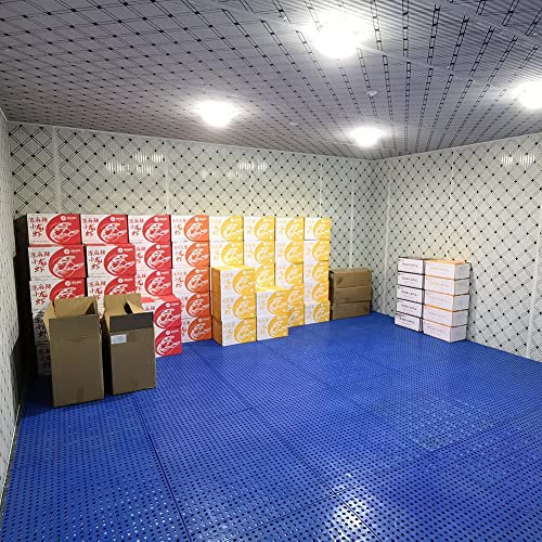 Piastrelle in plastica leggera ad incastro per garage e magazzino, 100 x 100 x 3 cm, colore blu, confezione da 1