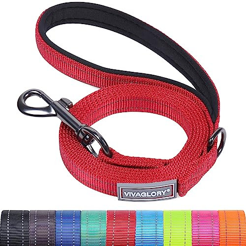 VIVAGLORY Dailyx Dog Lead, Dog Leash for Training & Walking with Soft Padded Handle, Heavy Duty & Double Layer Nylon for Pet Puppy, 120 x 1.4cm, Red