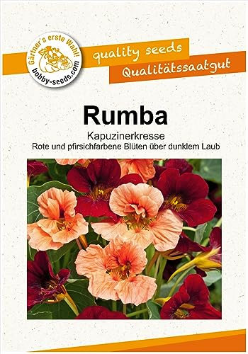 Blumensamen Rumba Kapuzinerkresse Portion