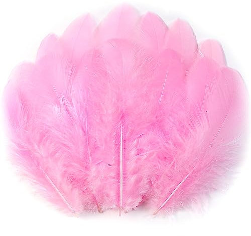 Soarer Rosa Federn zum Basteln – 300 Stück, 7,6–12,7 cm, Bastelfedern, Großpackung für Hochzeit, Zuhause, Party, Traumfängerzubehör und Bastelarbeiten (hellrosa)