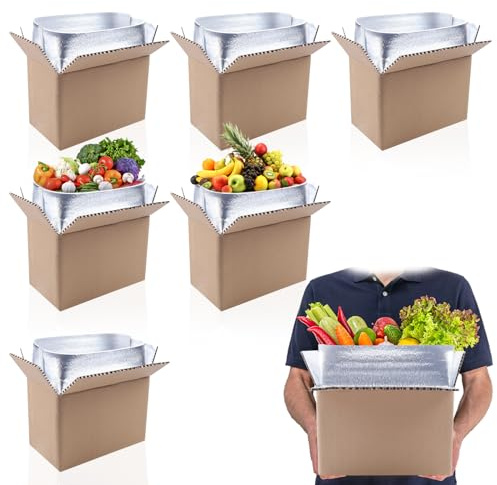 6 Pack Insulated Shipping Boxes with Aluminum Foil Insulated Bag