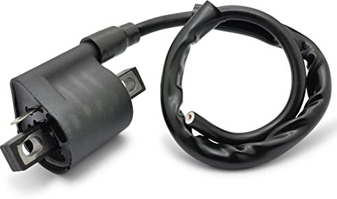 Easyboost Zündspule für 50ccm 2-Takt Roller und Schaltmoped 50ccm AM6 Nitro Aerox Malaguti F10 F12 F15 Aprilia SR Stunt Rieju MRT RS2 RS3 Sherco Yamaha DT Mach-G Rocket Bw's Piaggio NRG Zip Typhoon