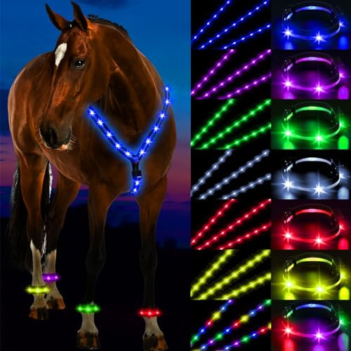 SilTriangle LED-Pferde-Brustpanzer und Pferdebeinband, wiederaufladbar, wiederaufladbar, verstellbar, LED-Pferdgeschirr, Reißzwecken, für Sichtbarkeit und Sicherheit beim Reiten bei Nacht, 5 Stück