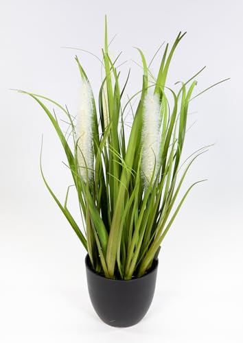 Seidenblumen Roß Fuchsschwanzgras Nature 40cm weiß im Topf DP Kunstpflanzen künstliches Gras Dekogras Kunstgras (30-0942 - Fuchsschwanzgras)