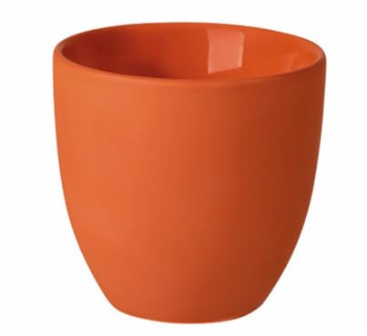 Rosenthal the cup+ Juicy Tangerine Lungo doppelwandig 0,18l