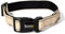 lionto Hundehalsband aus strapazierfähigem Nylon, Größe M, weiches gepolstertes Halsband für Hunde, 360° reflektierend & Klickverschluss, Metallring & Anpassung durch stufenlosen Schieber, beige