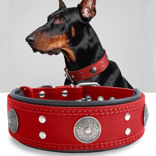 Hundehalsband Leder, 5 cm Breites Robustes Echtes Lederhalsband, Handgefertigt, Weich und Luxuriös, Auffällige Beste Wahl für Große und Mittelgroße Hunderassen, rot 57-67.5 cm