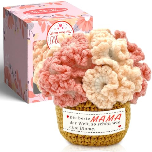 Regalo Mamma, Regalo Mamma Compleanno Decorazioni per la Vaso con Garofani all'uncinetto, la Migliore Idea regalo per la festa della mamma