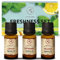 Ätherische Öle Set 3x10ml - Reine Frische Set mit Pfefferminzöl Zitronenöl Melissenöl - 30ml - Aromatherapie GeschenkSet für Diffuser - Duftöle für Diffusers und Seifenherstellung