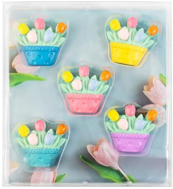 Kraftheld | 5er Set Deko-Magnete Tulip | Tulpen-Magnete, Blumen | bunt, dekorativ, farbenfroh | Kühlschrankmagnete in Form von Tieren | Magnet-Deko als Geschenk