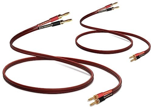 Confezione da 2 cavi di alta qualità in puro rame HIFI OFC con spina a banana, connettori placcati oro, maschio a maschio, 600 fili, 15 AWG, per altoparlanti audio, sistema HIFI Home Theater (3 m)