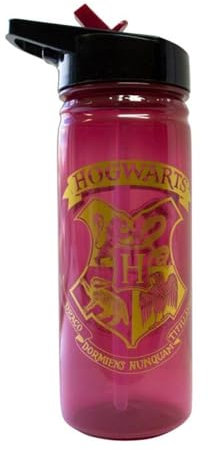 Kids Licensing Botella Polipropileno 600Ml Burgandy Crest de Harry Potter