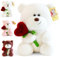 Teddybär, Plüsch-Bär, 28cm Teddy mit Herz Rose, Stofftier Teddy, Teddybären Rose Stofftier, Dekozimmer Kissen, Schmusetier Geschenke Für Mama, Kinder, Liebhaber, Valentinstag, Geburtstage (Weiß)