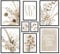ARTFAVES® Poster Set - Beige Dried Flowers - mehrteilige Wanddeko Wohnzimmer & Schlafzimmer - 8 moderne Wandbilder beige, trockenblumen, blumen, boho, beige-braun - mit Rahmen Schwarz