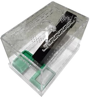Große transparente Cricket-Habitat-Box, leicht zu reinigen, abnehmbarer Boden und abnehmbarer Deckel, für Zuhause, Büro, Cricket-Keeper