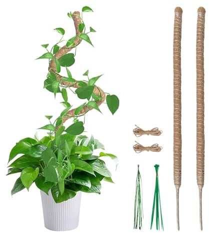 Mcbazel 2er-Set Moosstab für Monstera 60 cm, Rankhilfe Kokosstab Set,Handgemachte Monstera Rankhilfe für Kletterpflanzen, Flexibler Kokosfaser Monstera Moss Pole