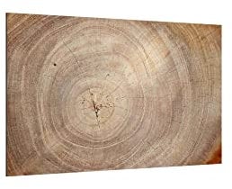 ALLboards Glas Magnettafel Baumstamm Natur Baumkern 90x60cm Glasbild Memoboard aus Glas Glastafel mit Baumstamm-Motiv Magnetwand zum Beschriften Magnetische Tafel Wanddekoration Wandbild