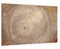 ALLboards Glas Magnettafel Baumstamm Natur Baumkern 90x60cm Glasbild Memoboard aus Glas Glastafel mit Baumstamm-Motiv Magnetwand zum Beschriften Magnetische Tafel Wanddekoration Wandbild