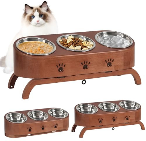 QILICZ Elevated Cat Food and Water Bowl with 3 Tilted Bowls for Kitten, Cat and Small Dog
