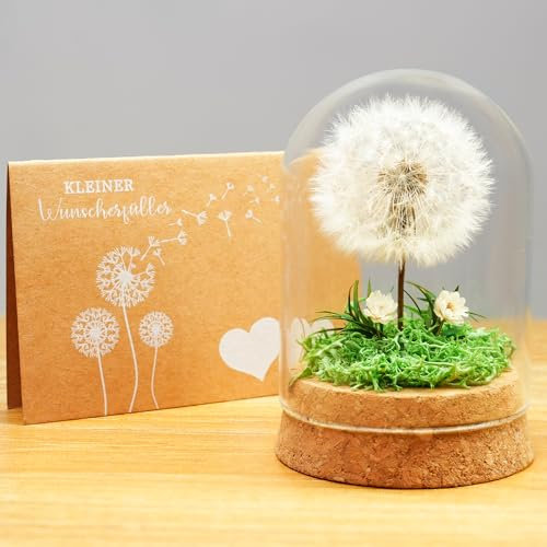Yobeyo Wunscherfüller Pusteblume im Glas - Besondere Geschenkidee, Geburtstagsgeschenk für Frauen, Glücksbringer und Kleinigkeit für Freundin, Deko Geschenke im Glas, Blumen Geschenk