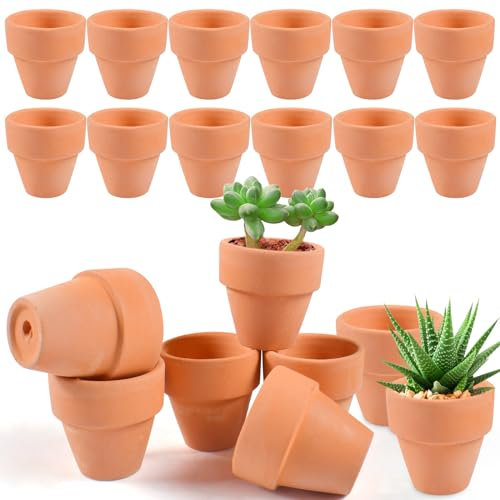 Qooloo 20 pcs Pots de Fleurs en Terre,3.5 x 3 cm Pots Jardinage en Terre, Terracotta Pot Argile,Mini Pot en Terre Cuite de Succulent Cactus,pour Plantes Cactus Extérieurs et Intérieur