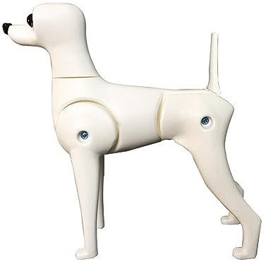 Qianly Hund Körper Modell Hund Mannequin Stehen Position Hund Modell Pet Pflege Hund Modell, Mehrfarbig, Teddy-Hund