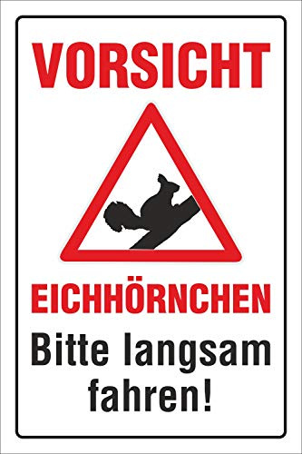 Schild Vorsicht Eichhörnchen Bitte langsam Fahren 300 x 200 mm | 3 mm Alu-Verbund, wetterfester UV-Direktdruck, robust und langlebig, Made in Germany