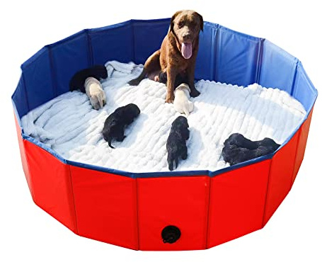 Artilife Faltbare Hundebadewanne, tragbar, für Welpen und Hunde, 120 x 30 cm Durchmesser