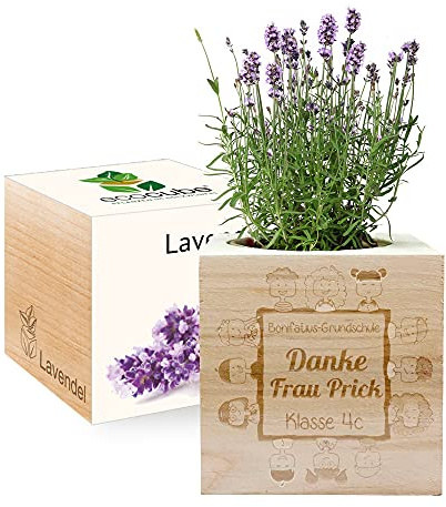 Gravierter EcoCube für Lehrer(in) (Lavendel)