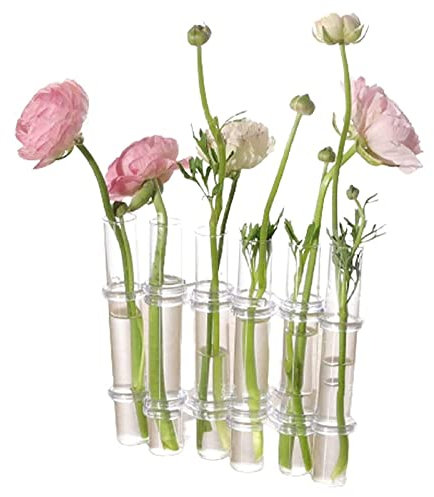 Klappbare Blumenvase, kleine aufklappbare Blumenvasen, Reagenzglas, Vase, kreative Reagenzglasvasen, Büro, Schreibtisch, Blumenvase, dekorative Glas-Blumenvase (6 Stück-L)