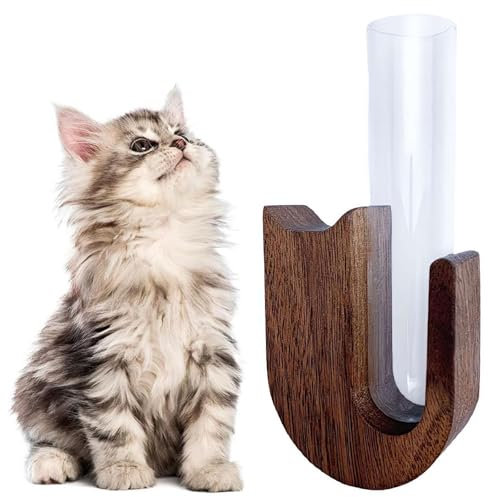 Kühlschrankmagnet mit Katzenschnurrhaar, Massivholz, Tierhaare, Gedenkbox, Katzenschnurrhaare, Kühlschrank-Aufkleber-Sammlung und Souvenirartikel, Hunde- und Katzenschnurrhaare Sammler für