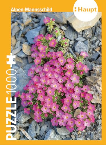 Alpen-Mannsschild – Puzzle