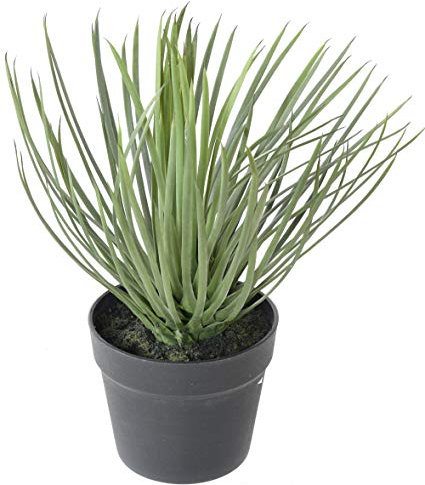 PEGANE Plante Artificielle Haute Gamme Spécial extérieur/Yucca Artificiel - Dim : 40 x 30 cm
