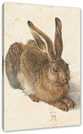 Pixxprint Albrecht Dürer - Feldhase, Größe: 60x40cm, Leinwandbild, fertig gespannt, Wandbild, Dekoration, Kunstdruck, kein Poster