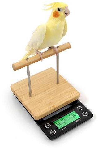 NEOUZA Vogelwaage mit Sitzstange, geeignet für Gesellschaftsfinken, Kanarienvögel, Wellensittiche, Nymphensittiche, Graupapageien, Tauben