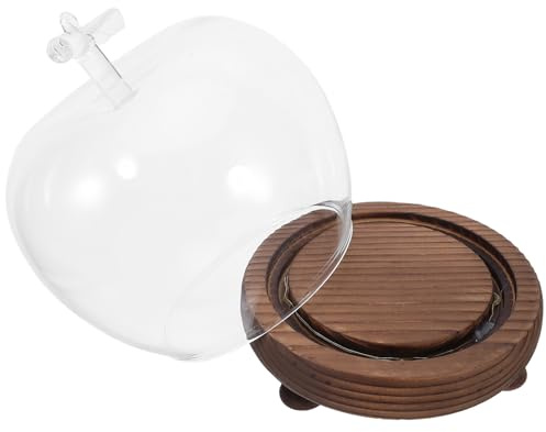 HAPINARY Cloche Verre Transparent avec Socle Bois Lumineux Dôme Verre Vintage pour Figurines Fleurs Préservées et Objets Décoratifs Polyvalents