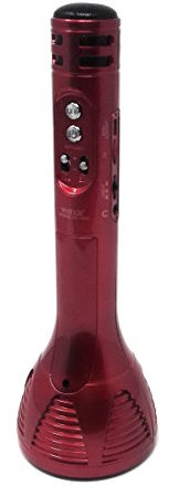 Micrófono Inalámbrico Portátil Altavoz Bluetooth USB Tarjeta TFK Grabadora Hi-Fi WS-1698 (Rojo)