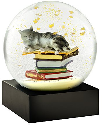 CoolSnowGlobes Katze auf Bücherstapel Schneekugel