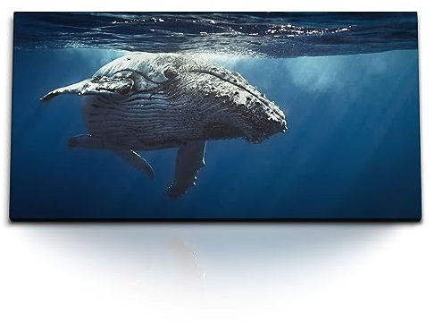 Paul Sinus Wandbild 120x60cm – Gigant der Meere: Faszinierender Wal in den Tiefen des Ozeans auf hochwertiger Leinwand für beeindruckende Wanddekoration