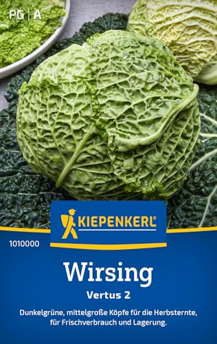 Kiepenkerl Wirsingsamen Vertus 2 1010000, Gemüsesaat | Dunkelgrüne, Inhalt für 50 Pflanzen