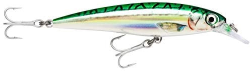 Rapala Unisex-Adult X-Rap Saltwater Locken, Grüne Makrele, 12cm