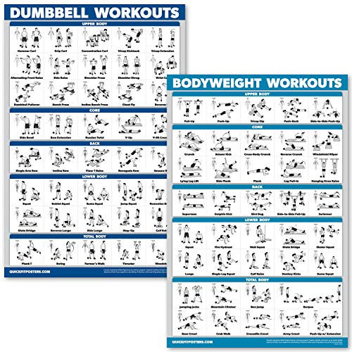QUICKFIT Hanteltraining und Körpergewicht-Übungsposter, laminiert, 2 Diagramme, Hanteltraining, Routine und Körpergewicht, 45,7 x 68,6 cm