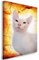 Julia-Art - Bilder Sphynx Katze Leinwand mit Keilrahmen 120 x 80 cm Leinwandbild XXL Wandbild Tiere Kunstdrucke Tierwelten Bild Wanddesign Wanddekoration c-642v-90