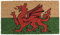 Welsh Red Dragon Flag Printed Natural Coir Doormat PVC Backed Anti Slip Mat (70cm x 40cm)