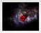 arte-tuo Bilderrahmen Rubin | 60x120 cm | Weiß matt | klares Kunstglas | Puzzle Diamond Painting Poster